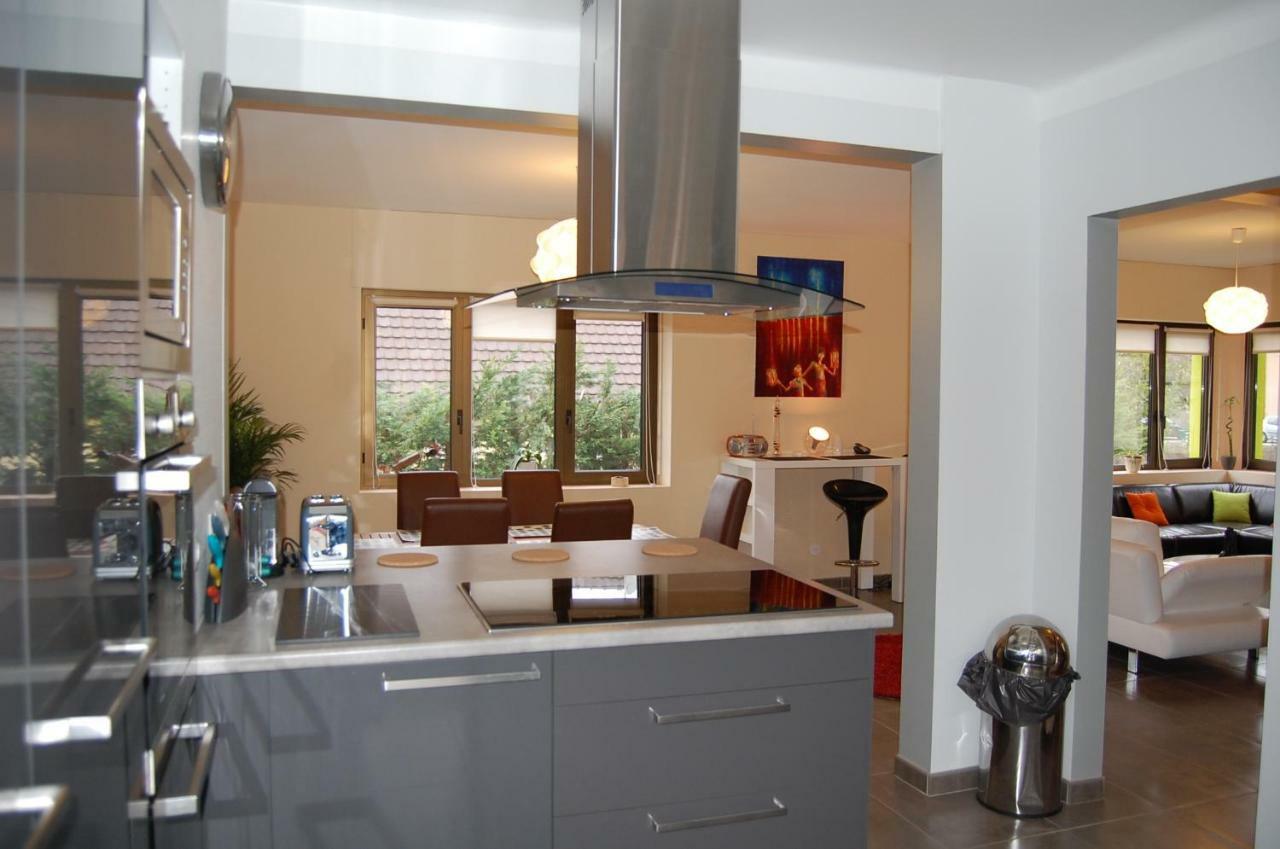 Villa Bonheur Illfurth Alsace 4 Chambres ภายนอก รูปภาพ