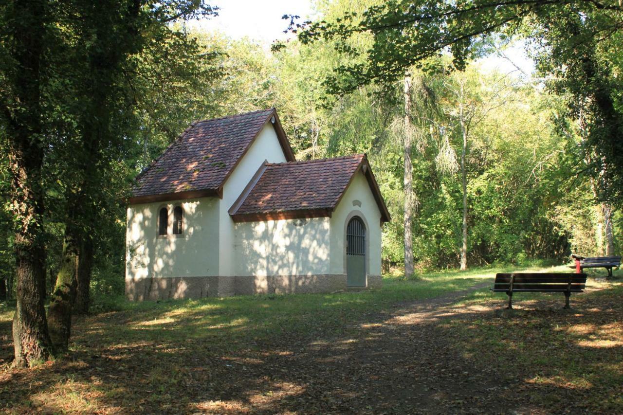 Villa Bonheur Illfurth Alsace 4 Chambres ภายนอก รูปภาพ