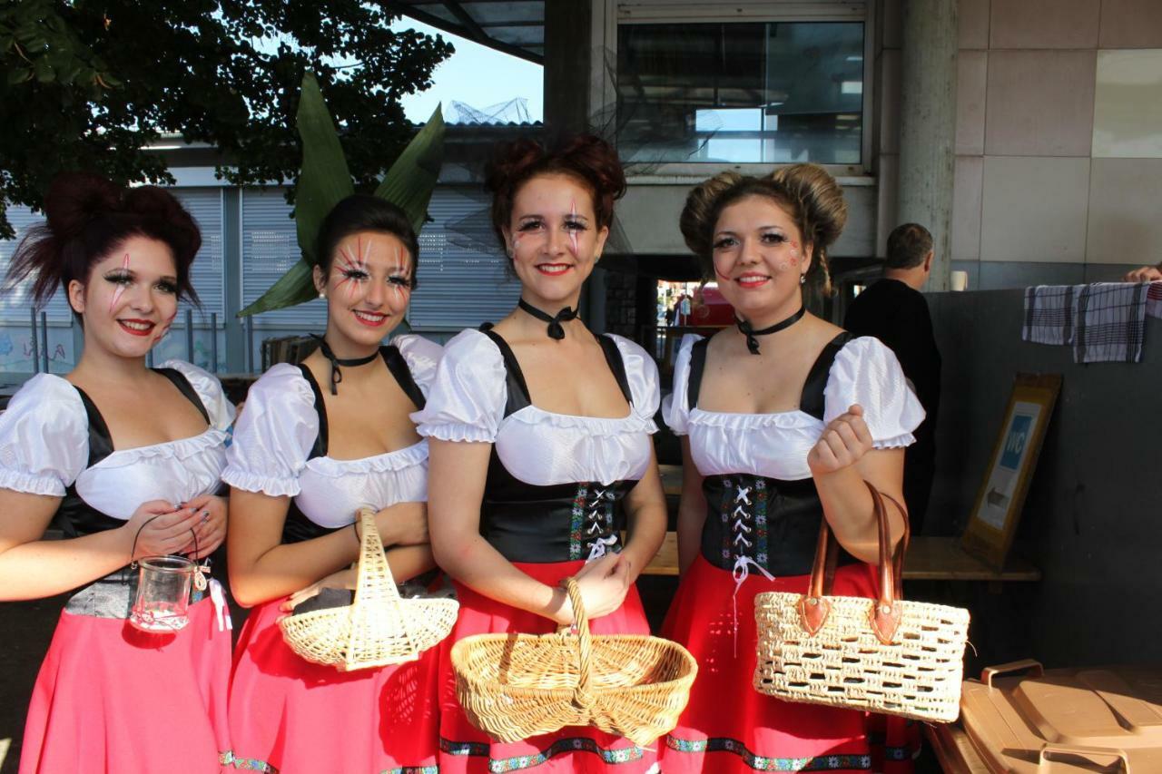 Villa Bonheur Illfurth Alsace 4 Chambres ภายนอก รูปภาพ